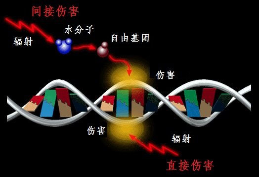 资料：辐射伤害知多少